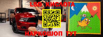 винт Славгород