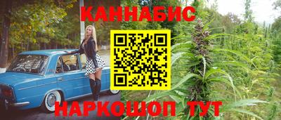 винт Славгород