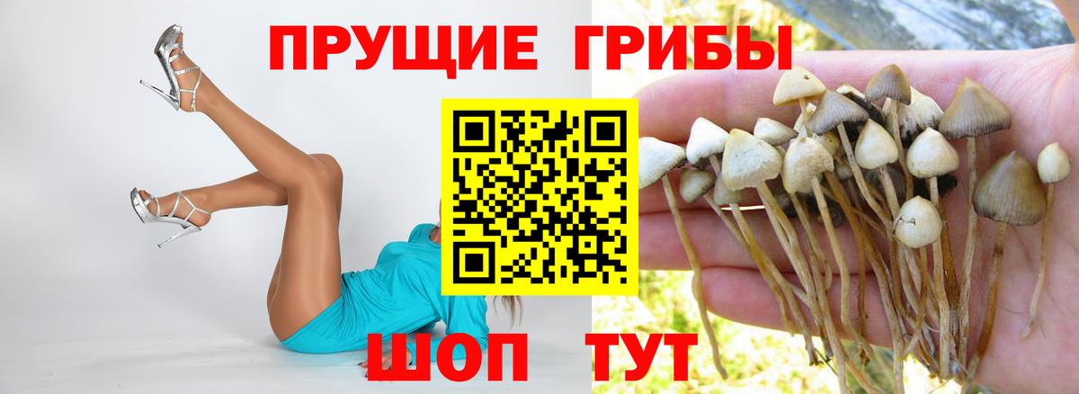 Псилоцибиновые грибы Cubensis  Вход с VPN  Самара 